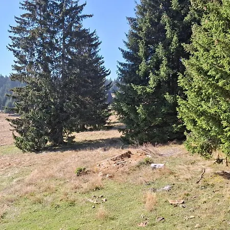 Homestay szállás Santa Golija